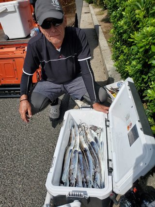 タチウオ