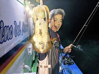 アオリイカ