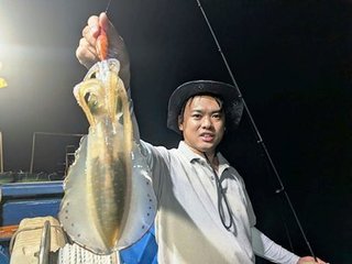 アオリイカ