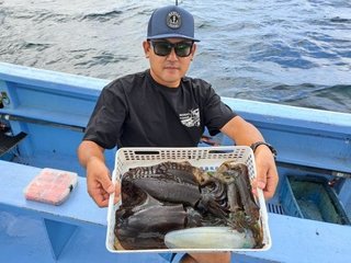 アオリイカ