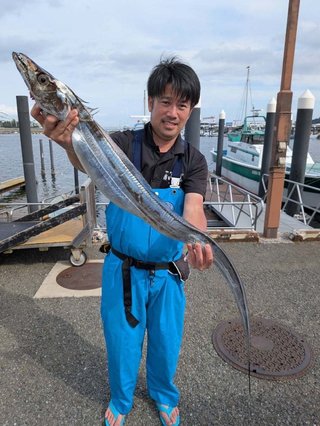 タチウオ