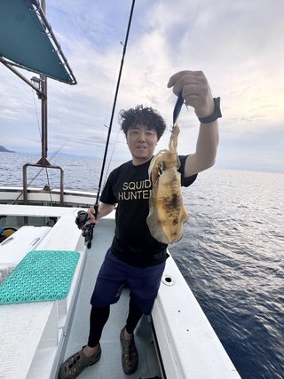 アオリイカ