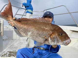 マダイ