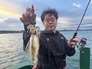 アオリイカ