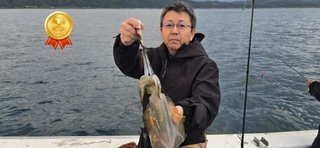 アオリイカ