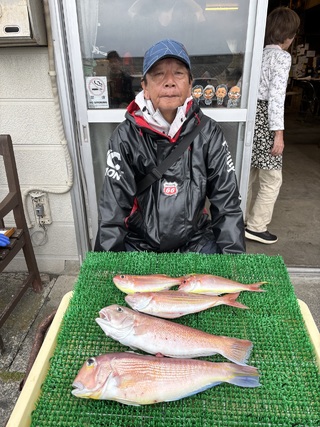 アマダイ