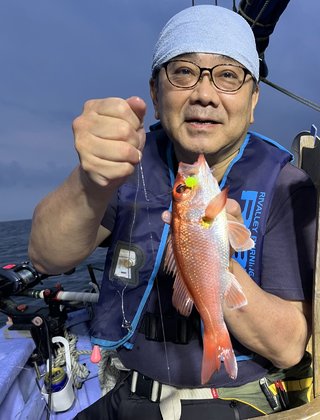 サゴシ