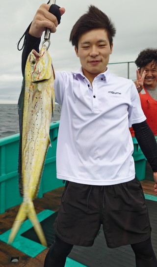 シイラ