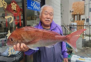 マダイ