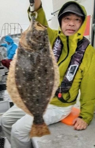 ヒラメ