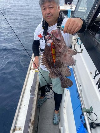 タヌキメバル