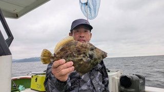 カワハギ