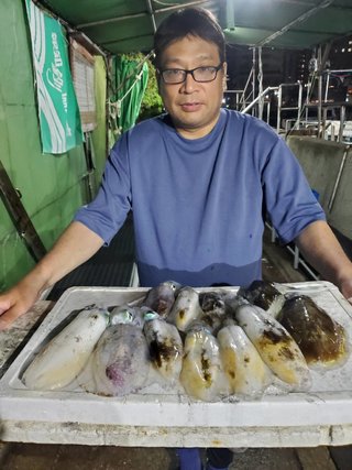 アオリイカ