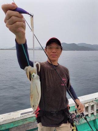 アオリ