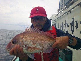 マダイ