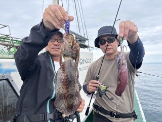アオリイカ