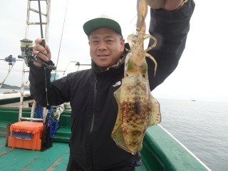 アオリイカ