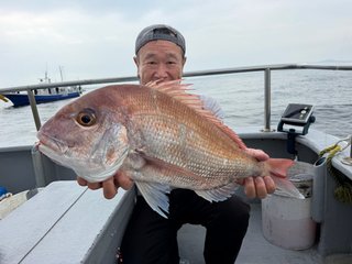 マダイ