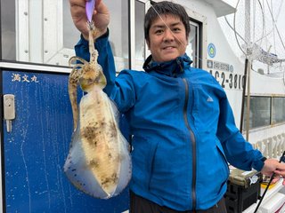 アオリイカ