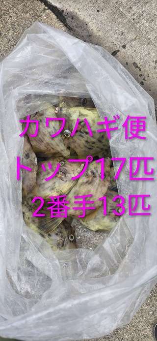 カワハギ