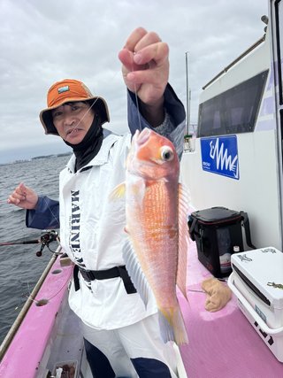 アマダイ