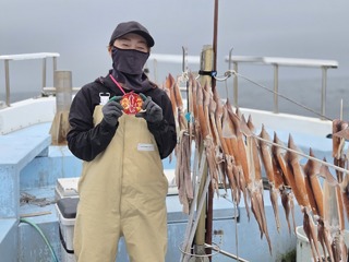 スルメイカ