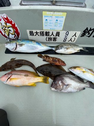 ハマチ