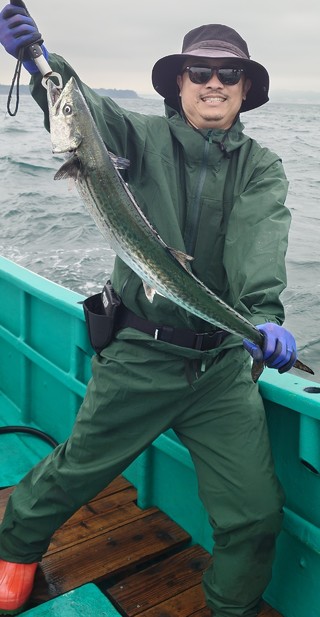 シイラ