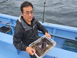 アオリイカ