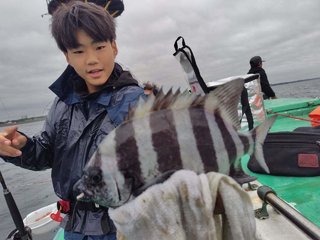 カンパチ