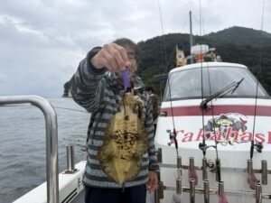 アオリイカ