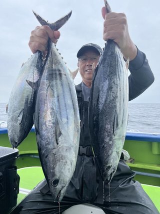 カツオ