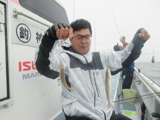 シロギス