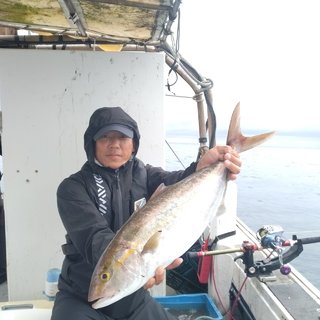 ヒラマサ