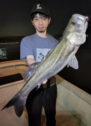シーバス