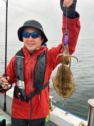 アオリイカ