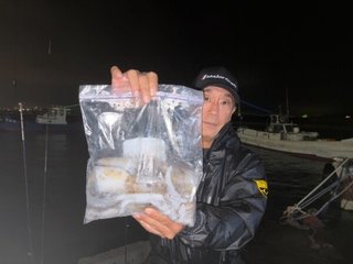 アオリイカ