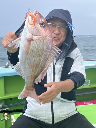 マダイ