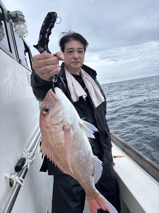 マダイ