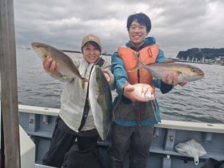 ワラサ