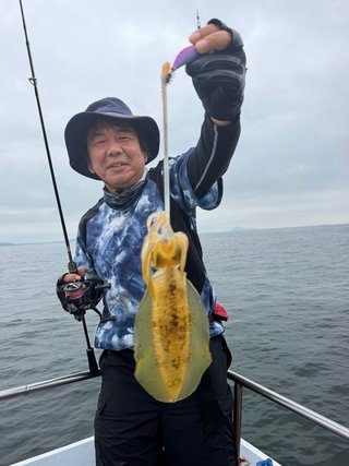 アオリイカ
