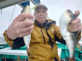 ショウサイフグ