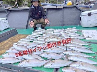 カンパチ