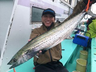 サワラ