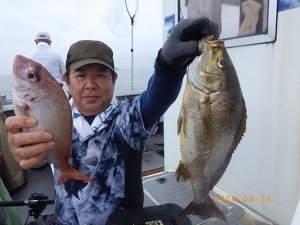 カサゴ
