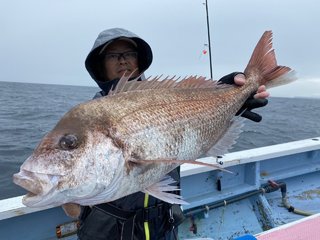 マダイ