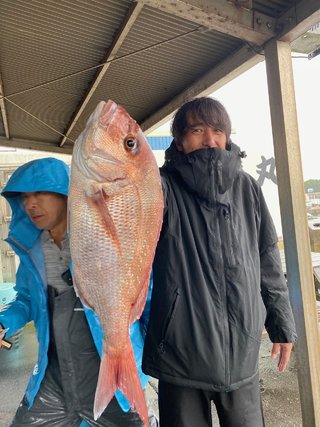 マダイ