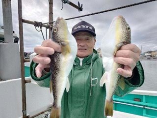 ショウサイフグ