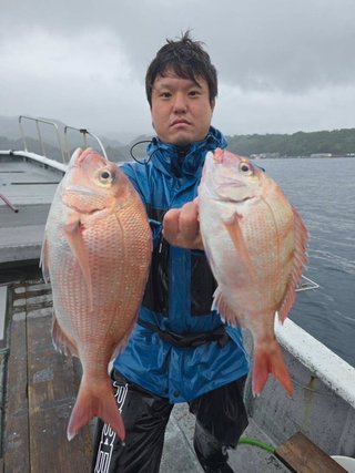 マダイ