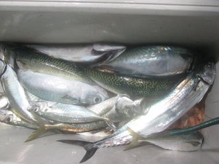 アジ
